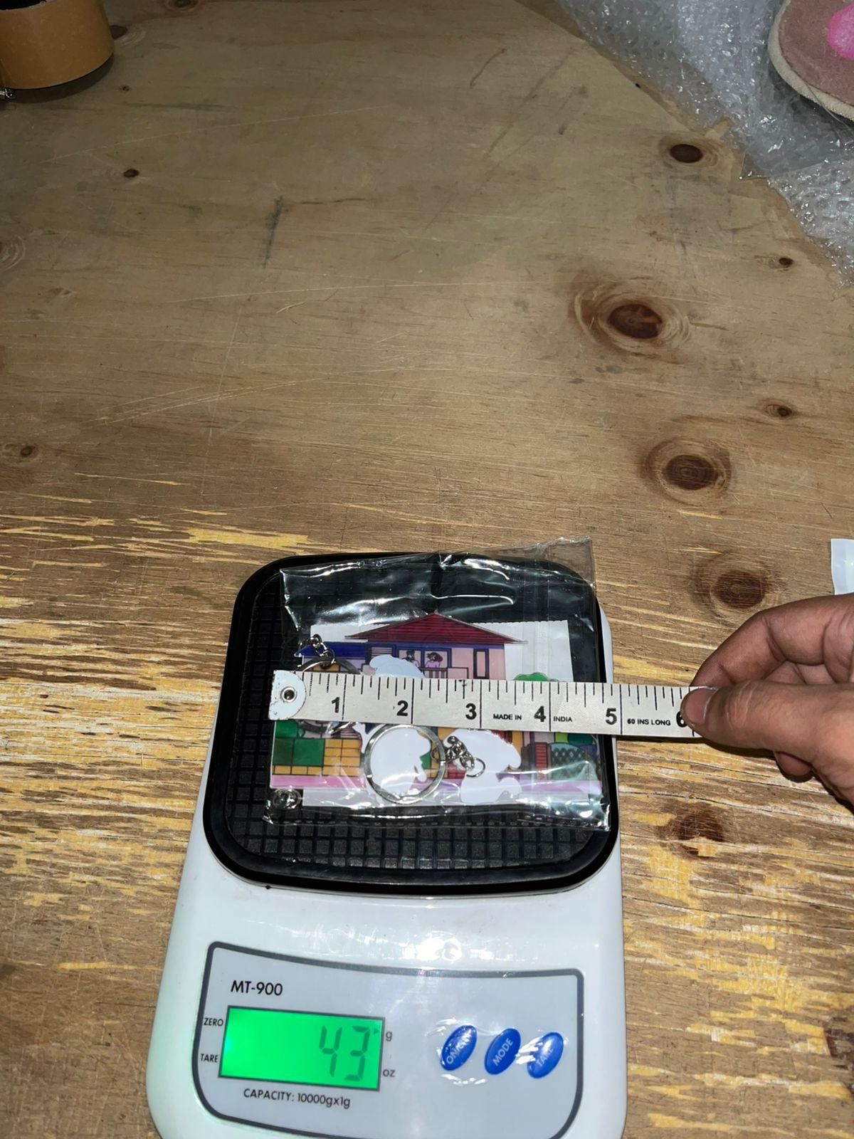 Shinchan & Shiro Acrylic Keychain Wall Hanger